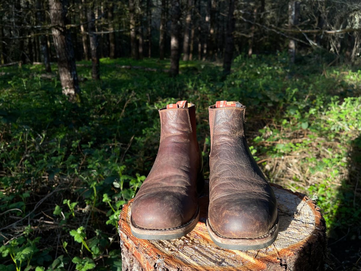 Photo by questrel on April 5, 2026 of the Drew's Boots Chelsea in Bison.