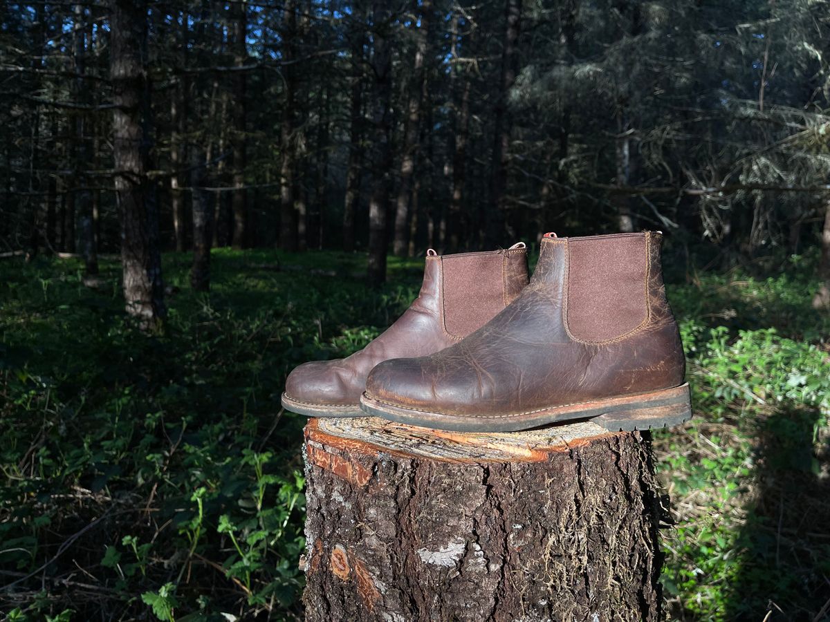 Photo by questrel on April 5, 2026 of the Drew's Boots Chelsea in Bison.