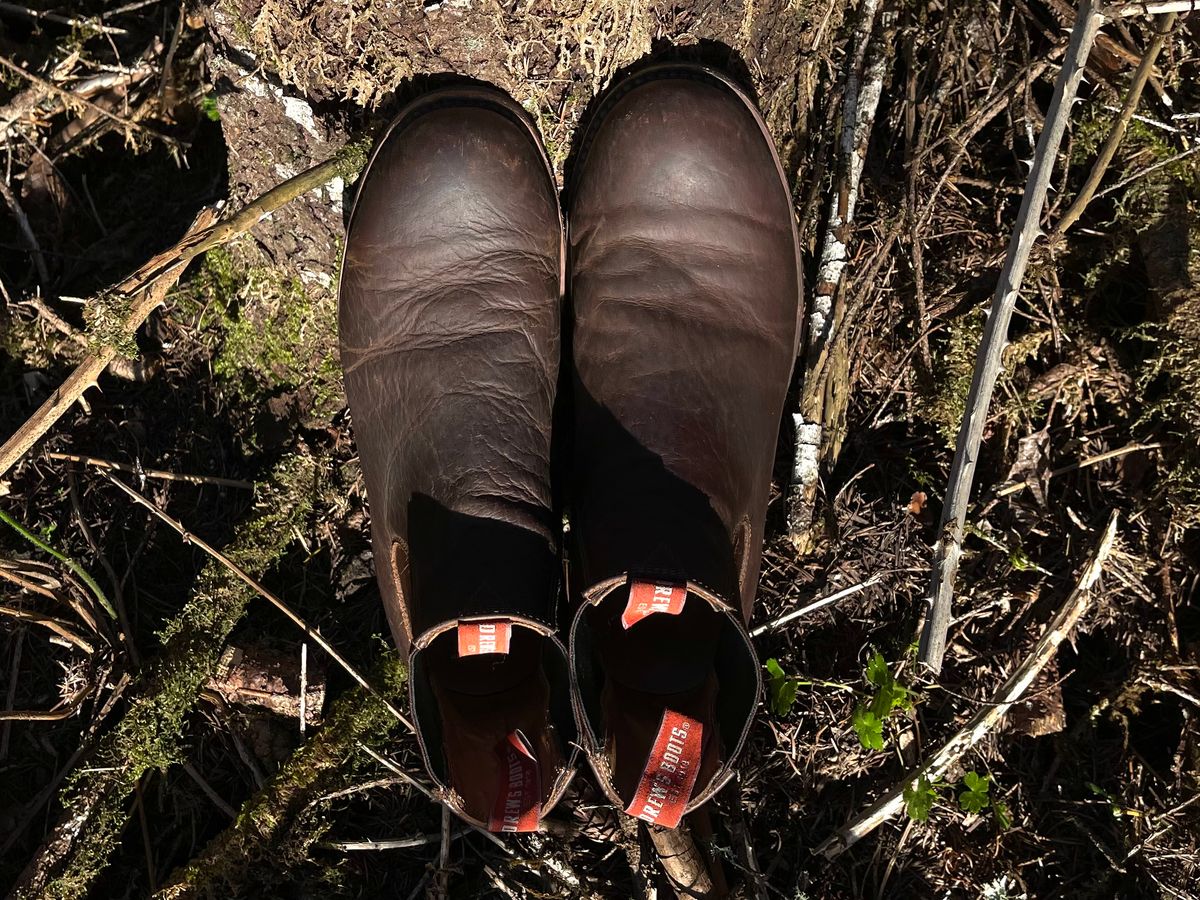 Photo by questrel on April 5, 2026 of the Drew's Boots Chelsea in Bison.