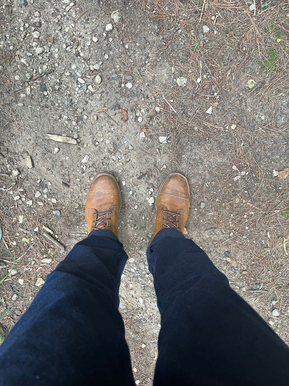 Photo by JakesBoots on July 23, 2025 of the Truman Cap Toe Boot in C.F. Stead Coach Rambler.