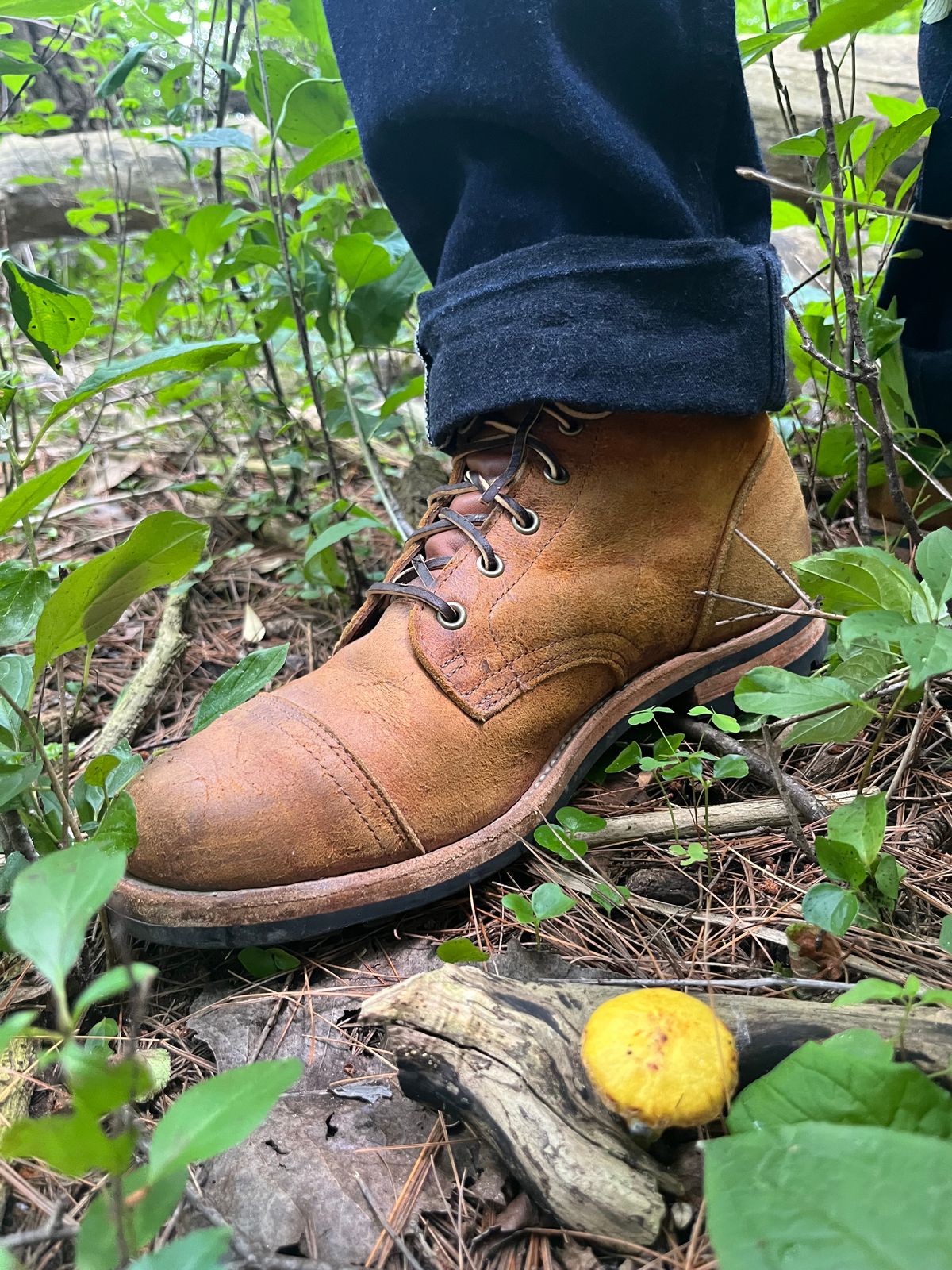 Photo by JakesBoots on July 23, 2025 of the Truman Cap Toe Boot in C.F. Stead Coach Rambler.