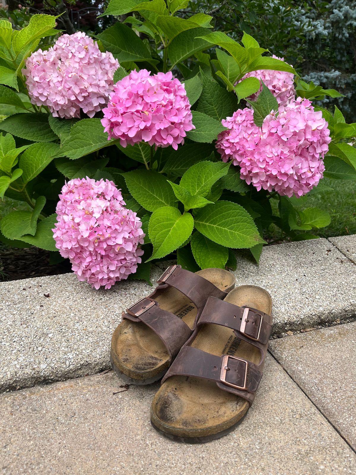 Photo by JakesBoots on July 17, 2025 of the Birkenstock Arizona in Habana Oiled Leather.
