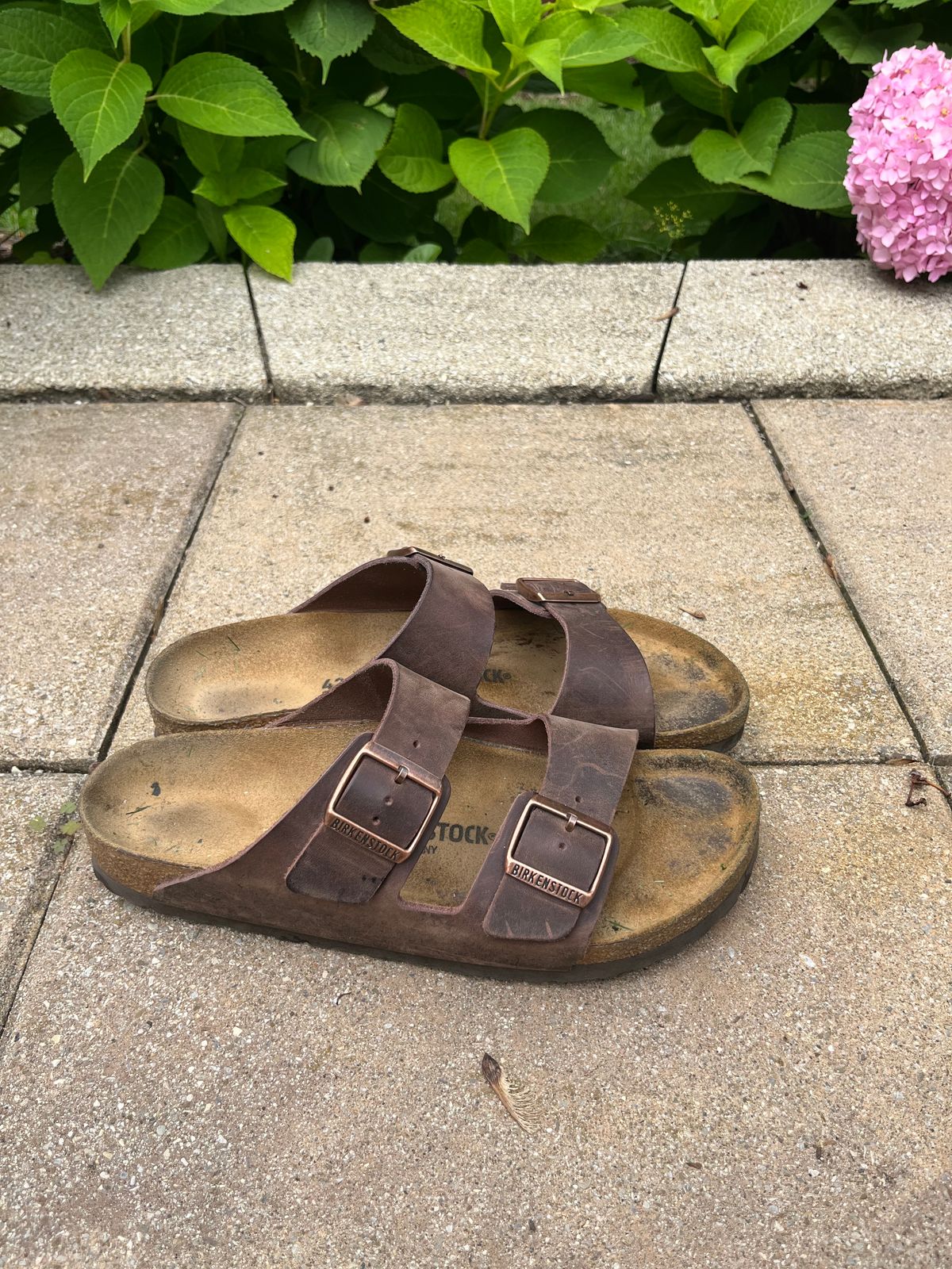 Photo by JakesBoots on July 17, 2025 of the Birkenstock Arizona in Habana Oiled Leather.