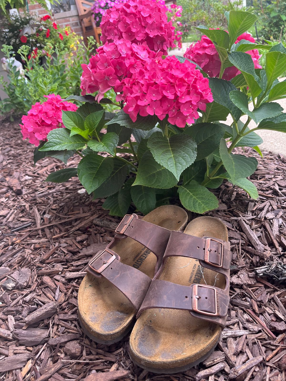 Photo by JakesBoots on July 20, 2025 of the Birkenstock Arizona in Habana Oiled Leather.