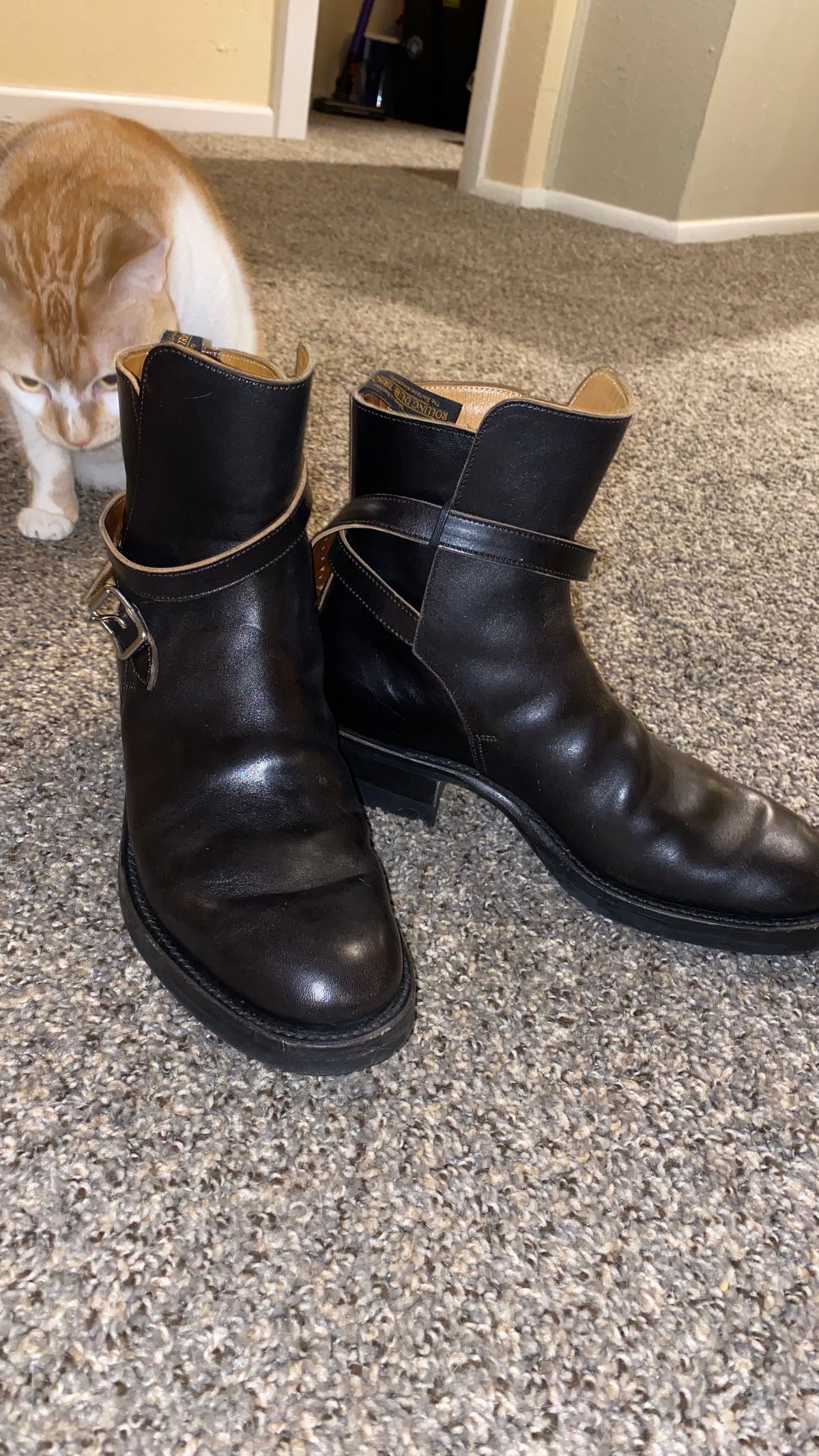 Photo by rwarren99 on October 5, 2024 of the Rolling Dub Trio Griffin Jodhpur in Hand Dyed Black Italian Horsebutt.
