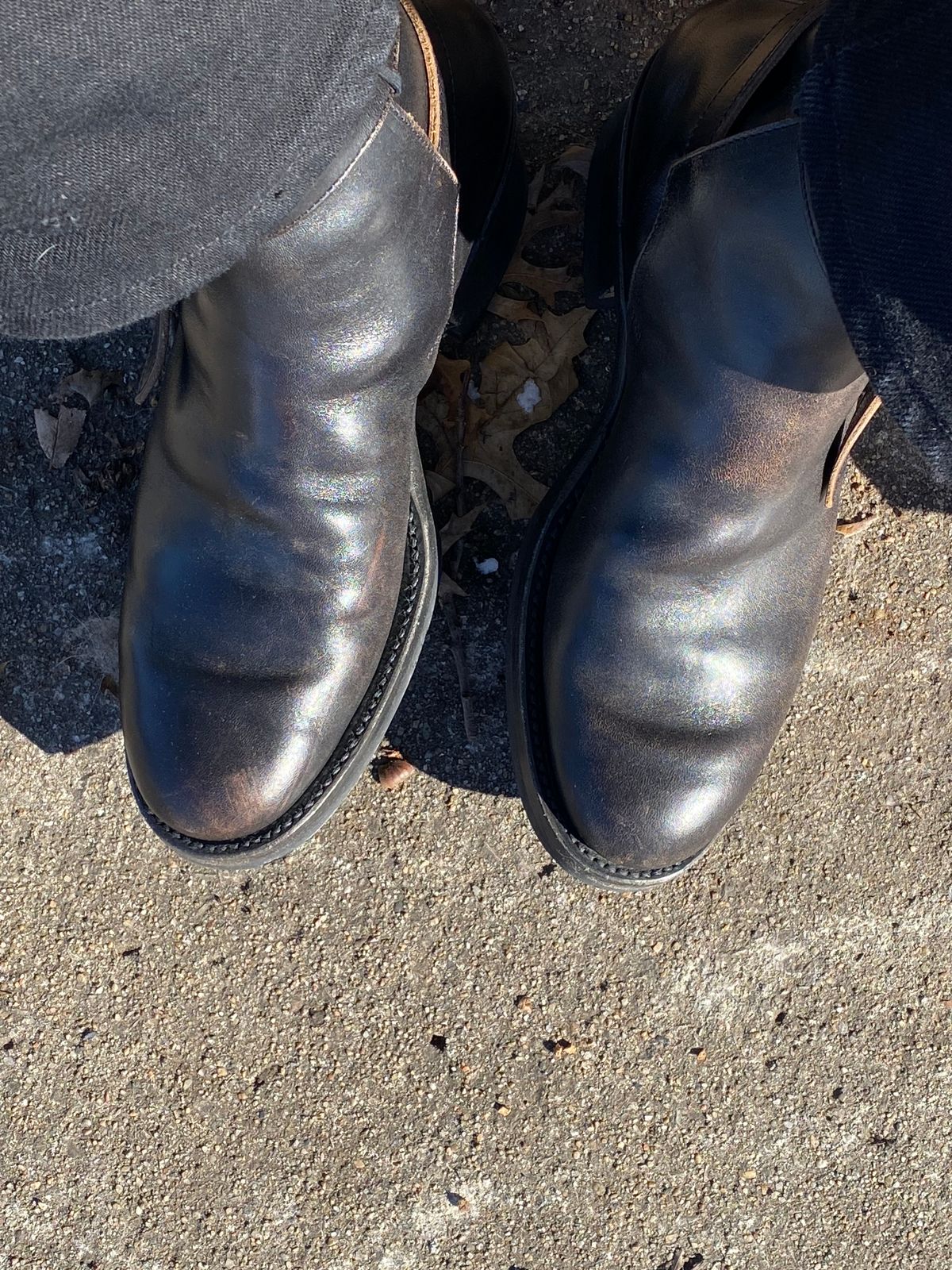 Photo by rwarren99 on January 13, 2025 of the Rolling Dub Trio Griffin Jodhpur in Hand Dyed Black Italian Horsebutt.