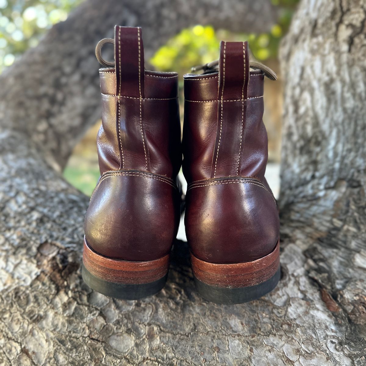 Photo by JB on February 4, 2026 of the Bordon Tukano Boots in Wickett & Craig Chestnut Oiled Latigo.