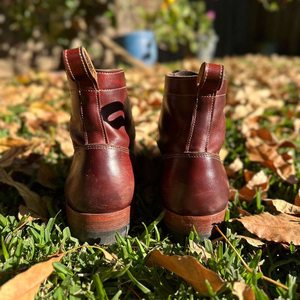 Photo by JB on March 2, 2026 of the Bordon Tukano Boots in Wickett & Craig Chestnut Oiled Latigo.