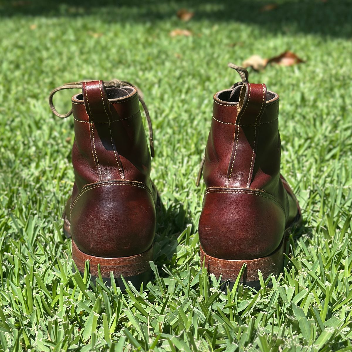 Photo by JB on April 1, 2026 of the Bordon Tukano Boots in Wickett & Craig Chestnut Oiled Latigo.