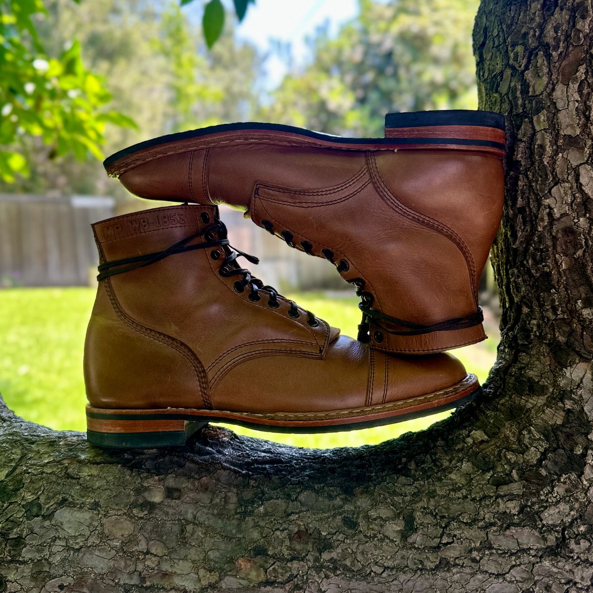 Photo by JB on June 25, 2026 of the White's MP-M1TC in Horween Natural Chromexcel.