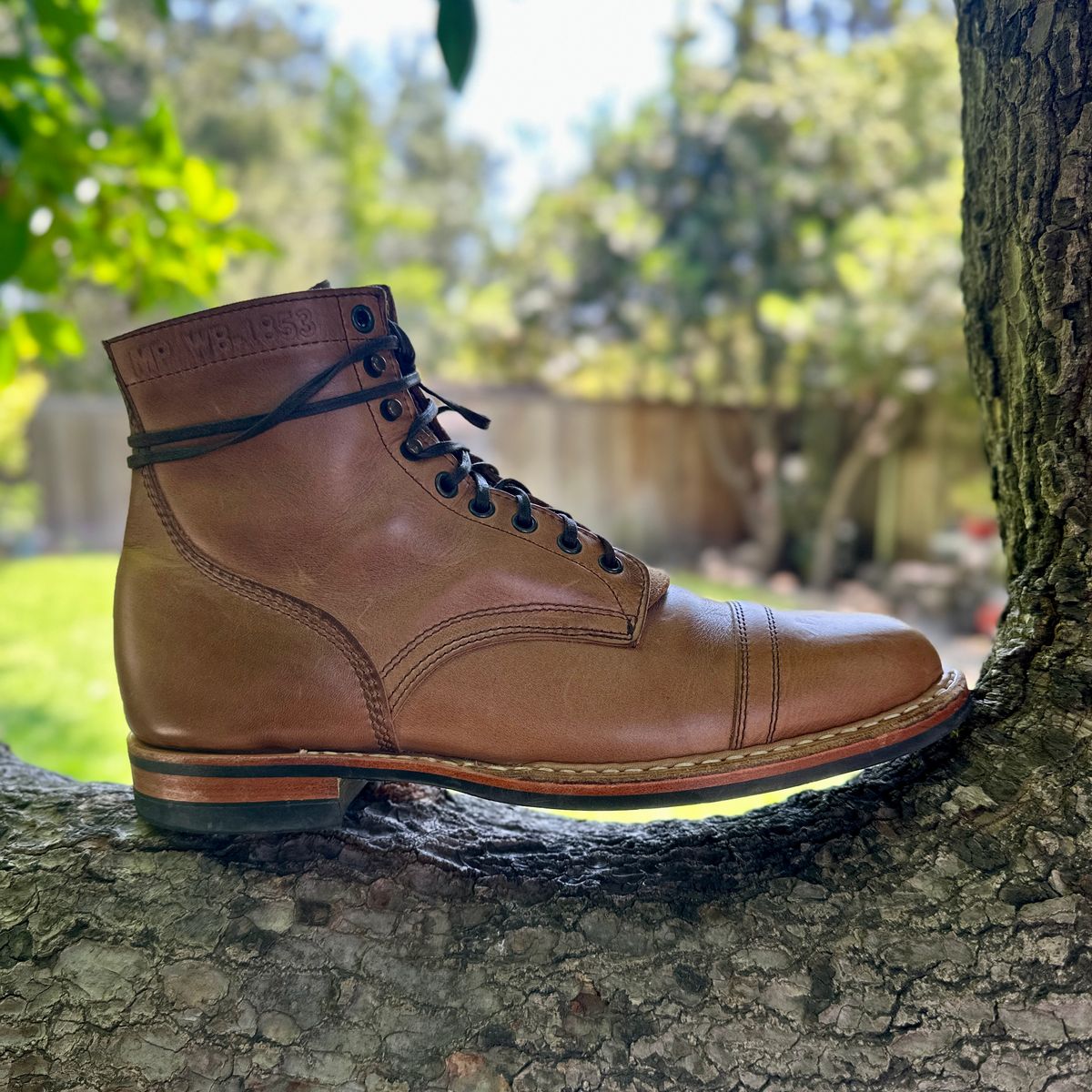 Photo by JB on June 25, 2026 of the White's MP-M1TC in Horween Natural Chromexcel.