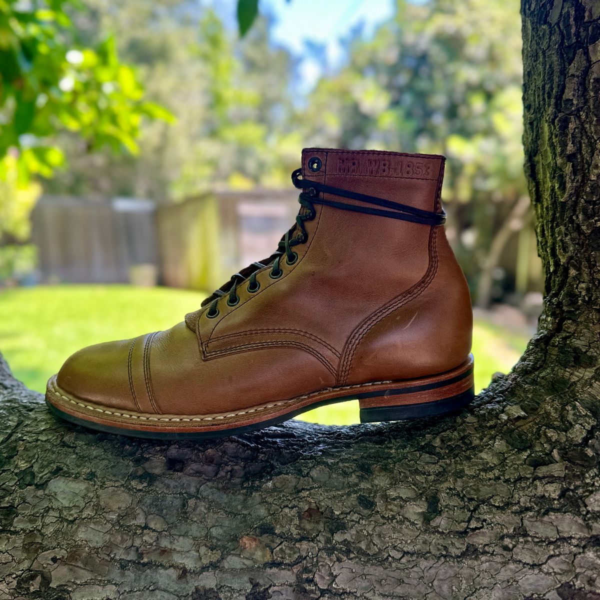 Photo by JB on June 25, 2026 of the White's MP-M1TC in Horween Natural Chromexcel.