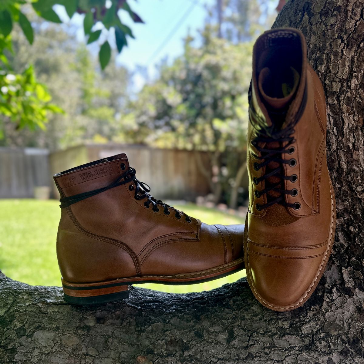 Photo by JB on June 25, 2026 of the White's MP-M1TC in Horween Natural Chromexcel.