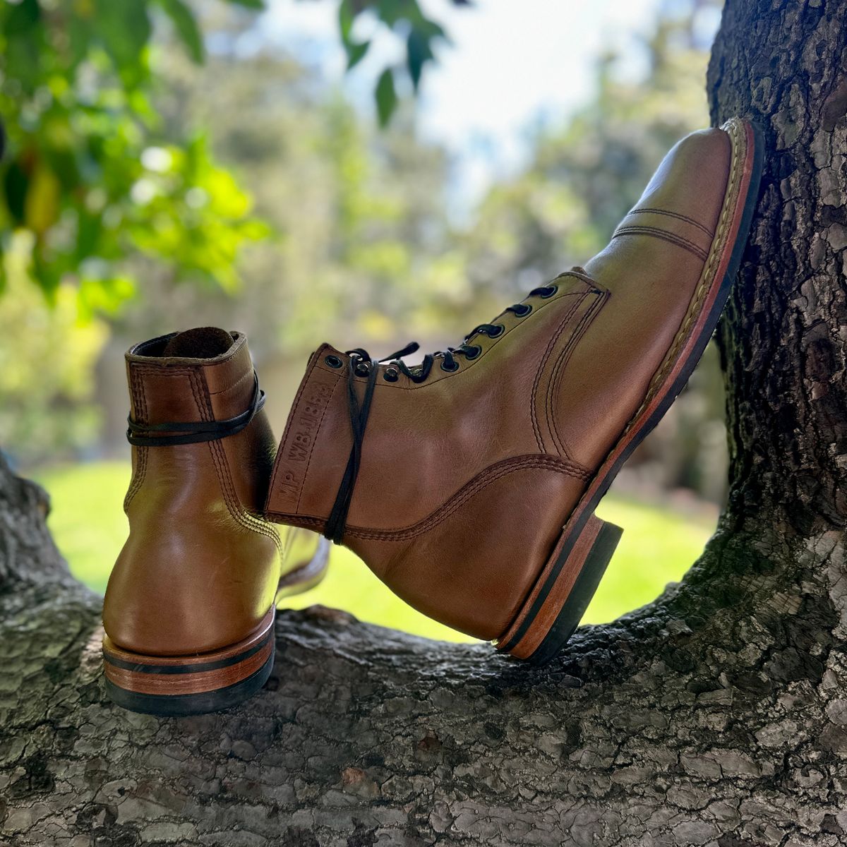 Photo by JB on June 25, 2026 of the White's MP-M1TC in Horween Natural Chromexcel.