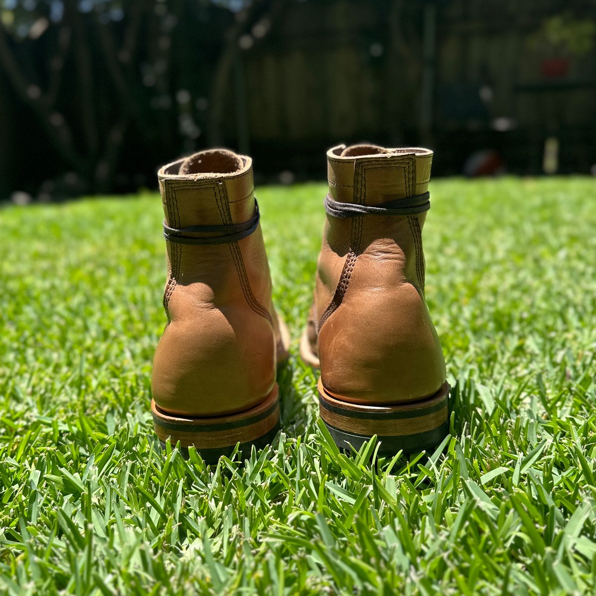 Photo by JB on June 25, 2026 of the White's MP-M1TC in Horween Natural Chromexcel.