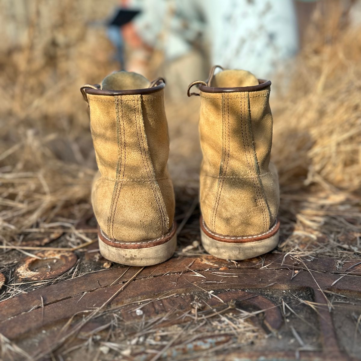Photo by JB on December 3, 2024 of the Red Wing 6-Inch Classic Moc in S.B. Foot Hawthorne Abilene.