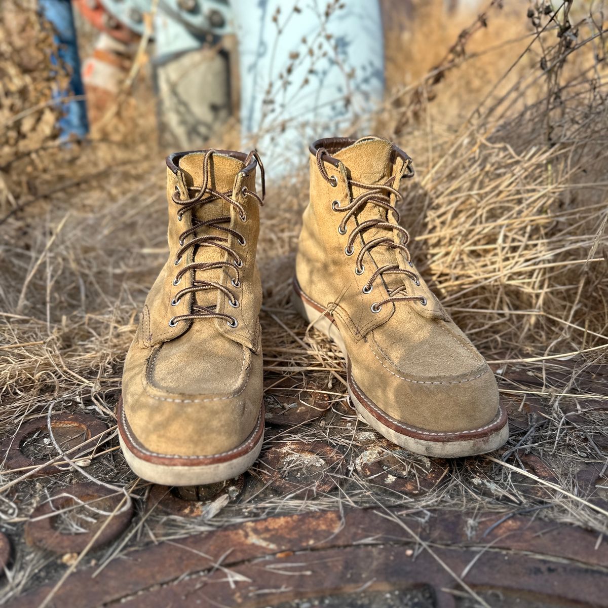 Photo by JB on December 3, 2024 of the Red Wing 6-Inch Classic Moc in S.B. Foot Hawthorne Abilene.