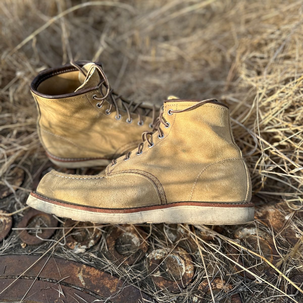 Photo by JB on December 3, 2024 of the Red Wing 6-Inch Classic Moc in S.B. Foot Hawthorne Abilene.
