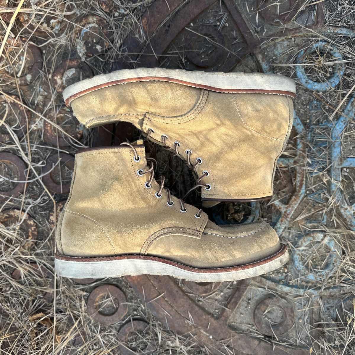 Photo by JB on December 3, 2024 of the Red Wing 6-Inch Classic Moc in S.B. Foot Hawthorne Abilene.