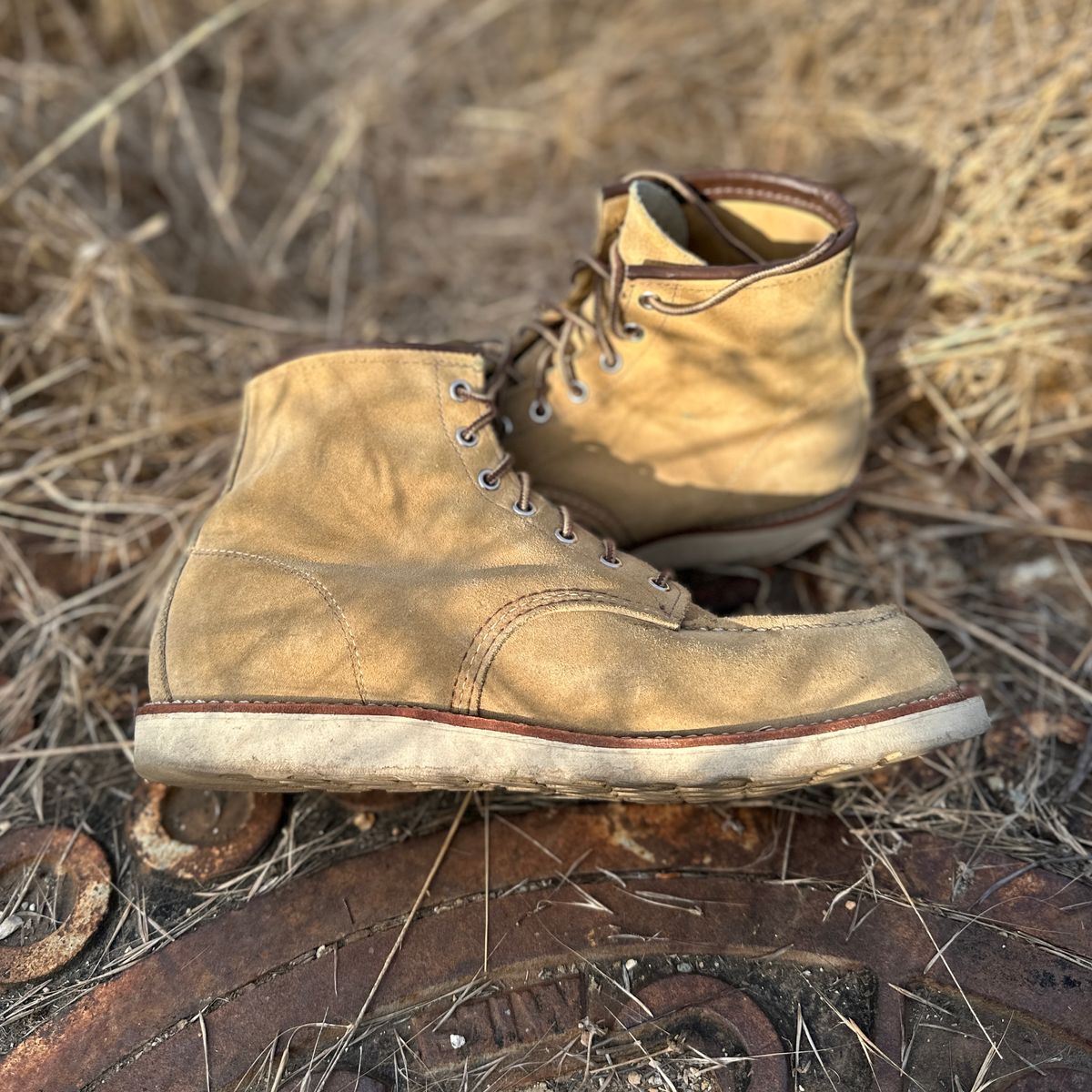 Photo by JB on December 3, 2024 of the Red Wing 6-Inch Classic Moc in S.B. Foot Hawthorne Abilene.