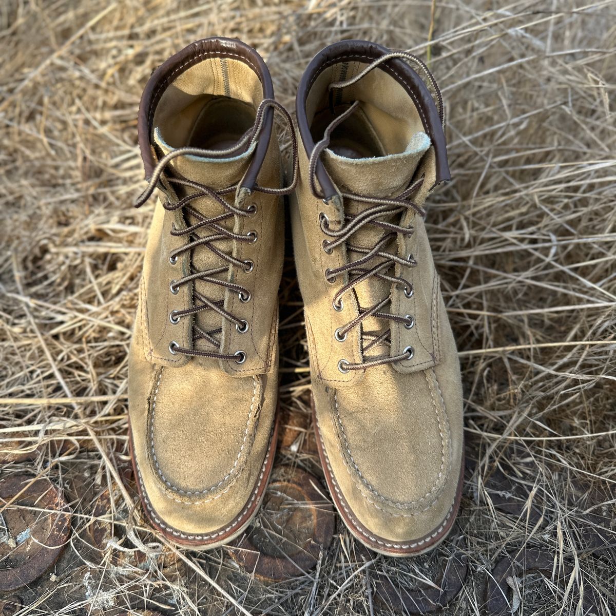 Photo by JB on December 3, 2024 of the Red Wing 6-Inch Classic Moc in S.B. Foot Hawthorne Abilene.