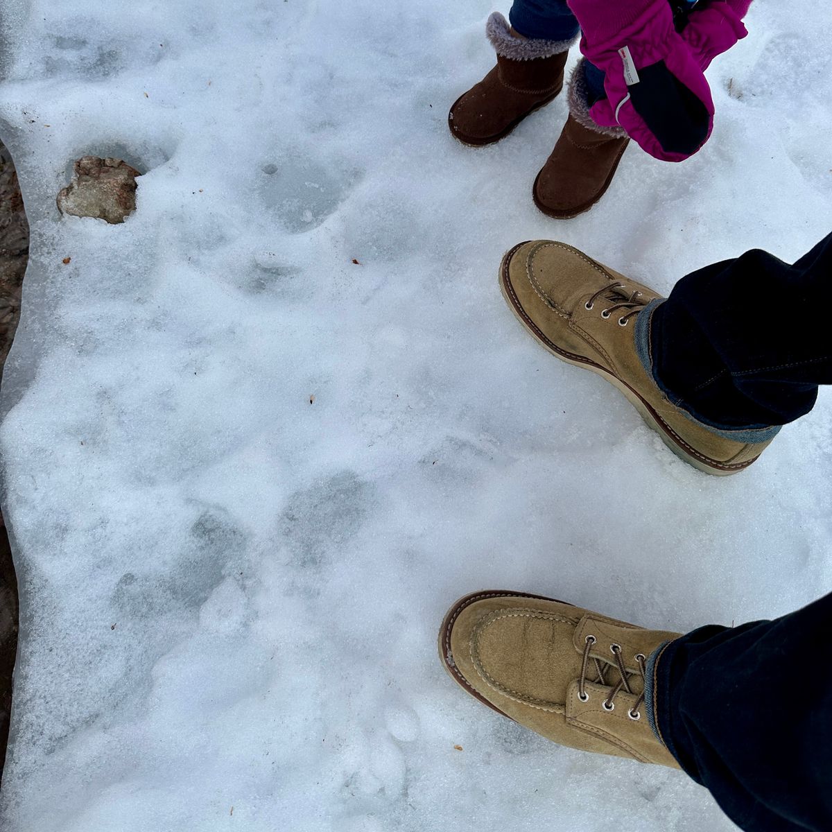 Photo by JB on February 5, 2025 of the Red Wing 6-Inch Classic Moc in S.B. Foot Hawthorne Abilene.