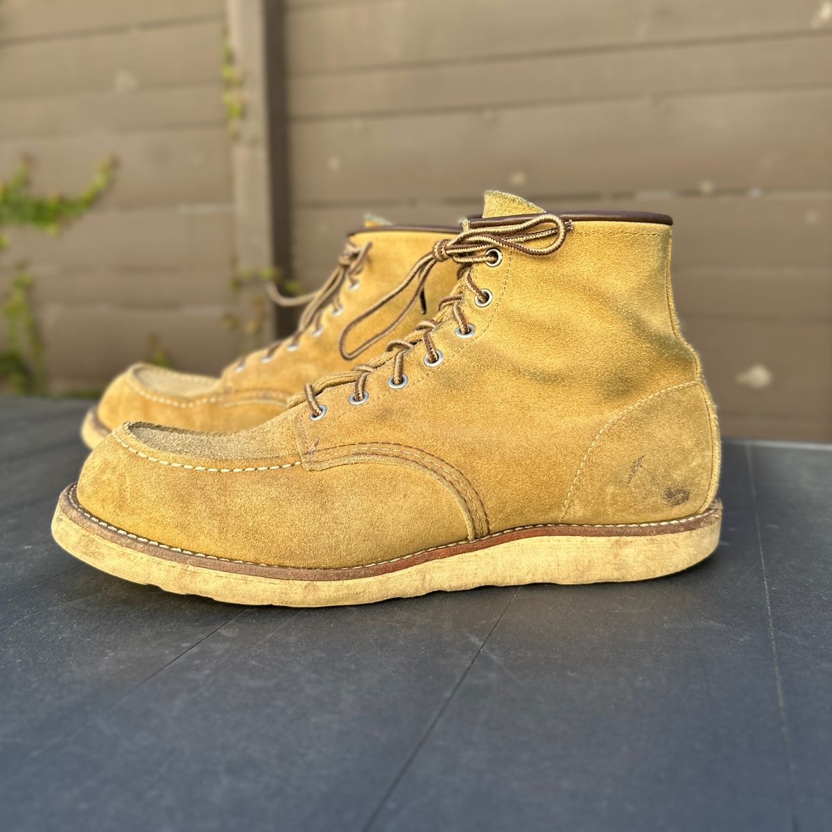 Photo by JB on March 3, 2025 of the Red Wing 6-Inch Classic Moc in S.B. Foot Hawthorne Abilene.