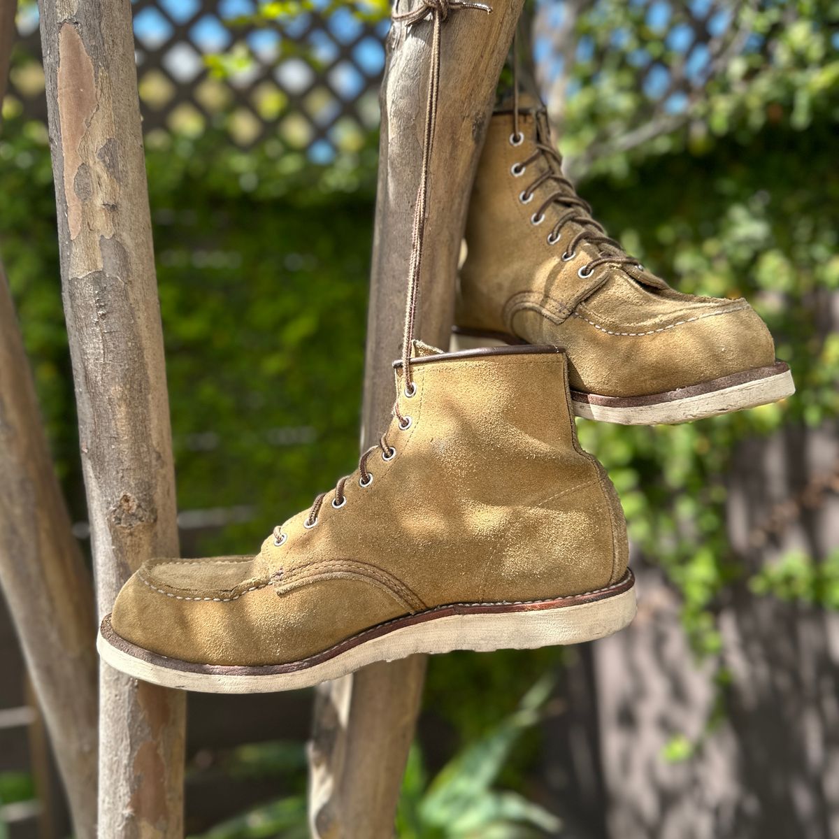 Photo by JB on April 2, 2025 of the Red Wing 6-Inch Classic Moc in S.B. Foot Hawthorne Abilene.