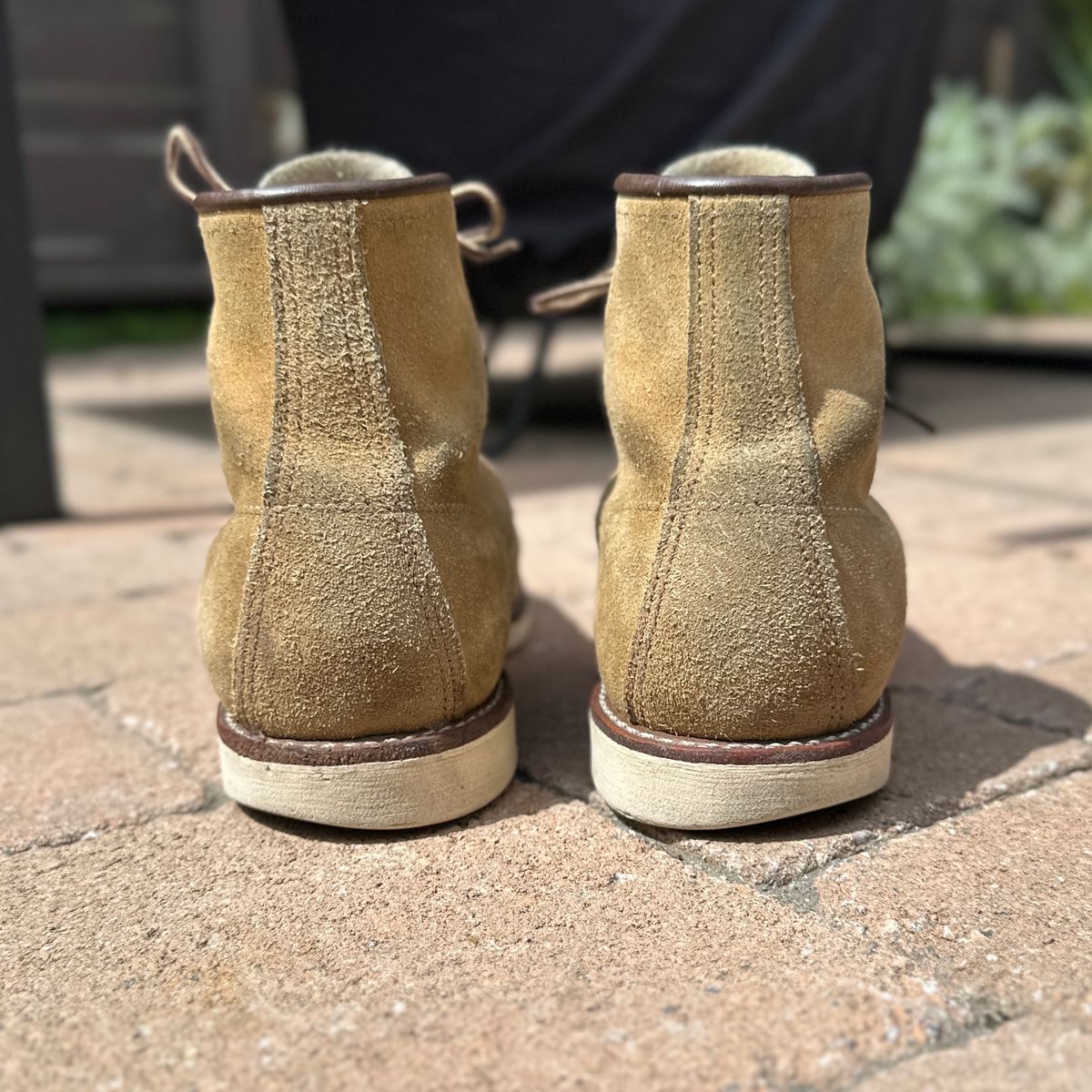 Photo by JB on April 2, 2025 of the Red Wing 6-Inch Classic Moc in S.B. Foot Hawthorne Abilene.