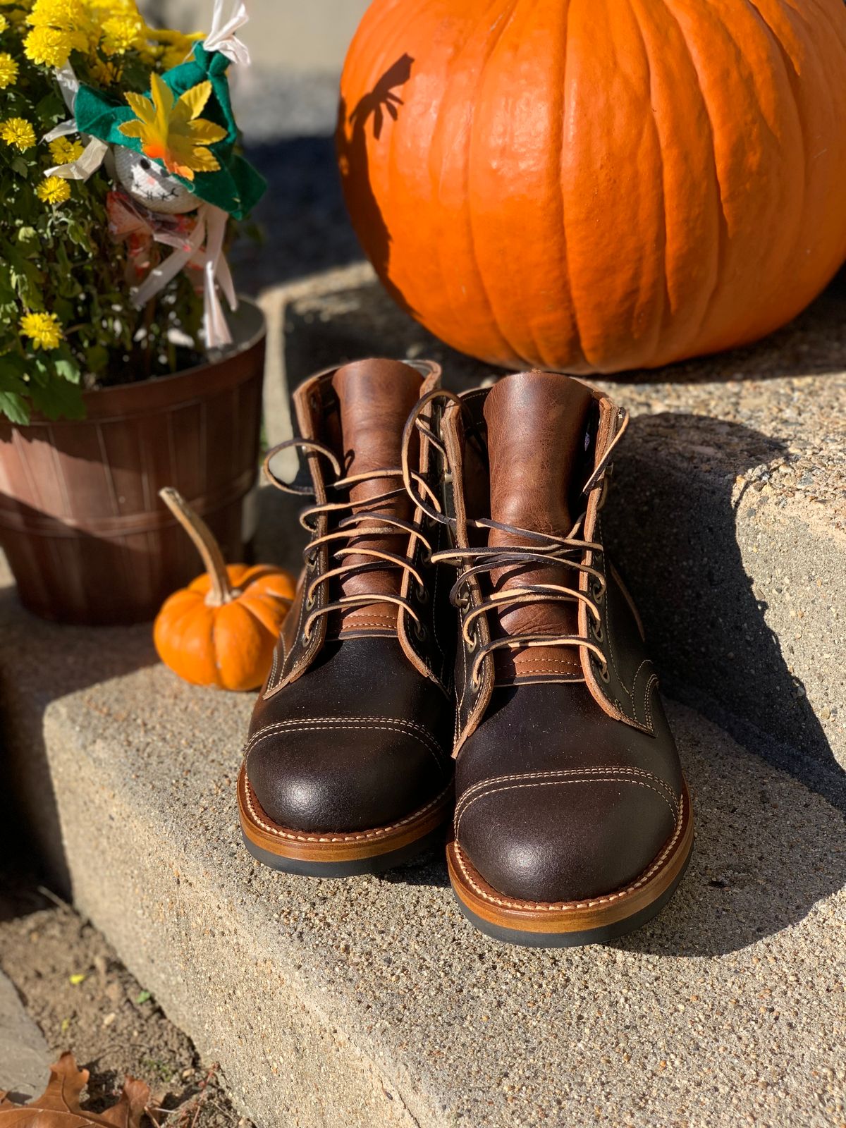 Photo by knottedlaces on October 14, 2024 of the Truman Cap Toe Boot in Horween Java Waxed Flesh.