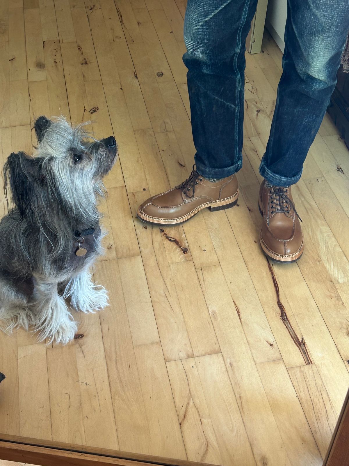 Photo by napkinlad on June 25, 2024 of the Jakkrabbits Derby Shoes in Tochigi Jeans #5 Khaki.
