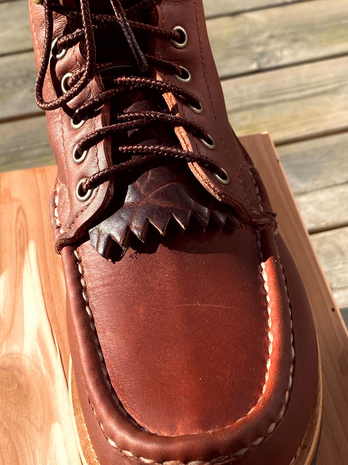 Photo by F.Kling on April 9, 2026 of the Russell Moccasin Co. Backcountry in Full-Grain Timberjack.