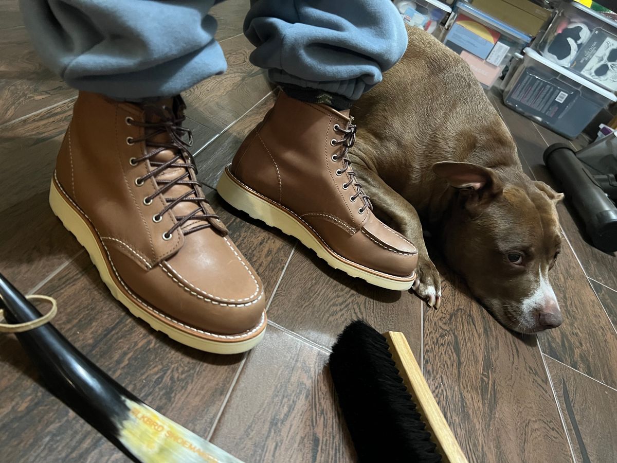 Photo by Dana on November 6, 2024 of the Red Wing 6-Inch Classic Moc in Mocha Oro-iginal.