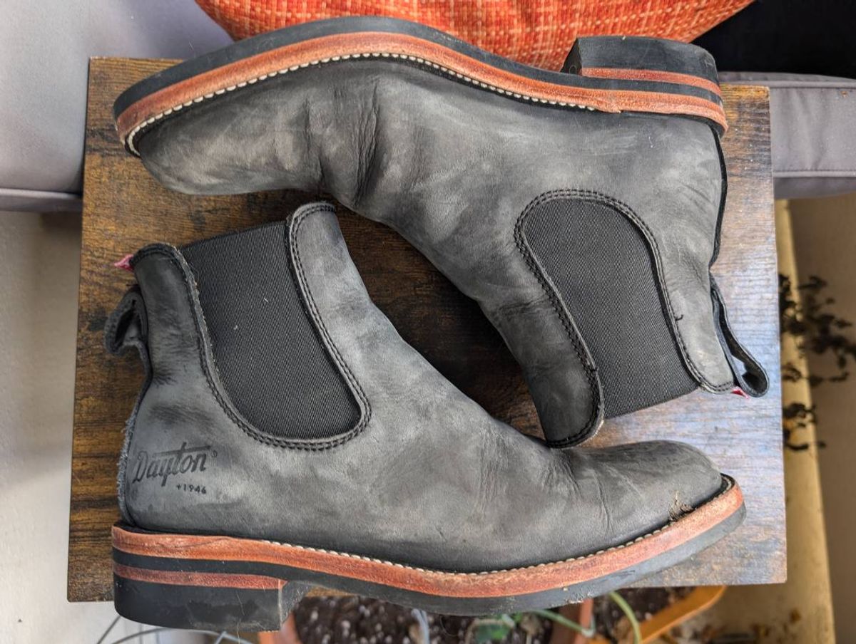 Photo by kylakristine4 on November 3, 2024 of the Dayton Boots Wholecut Chelsea in Charcoal Nubuck.