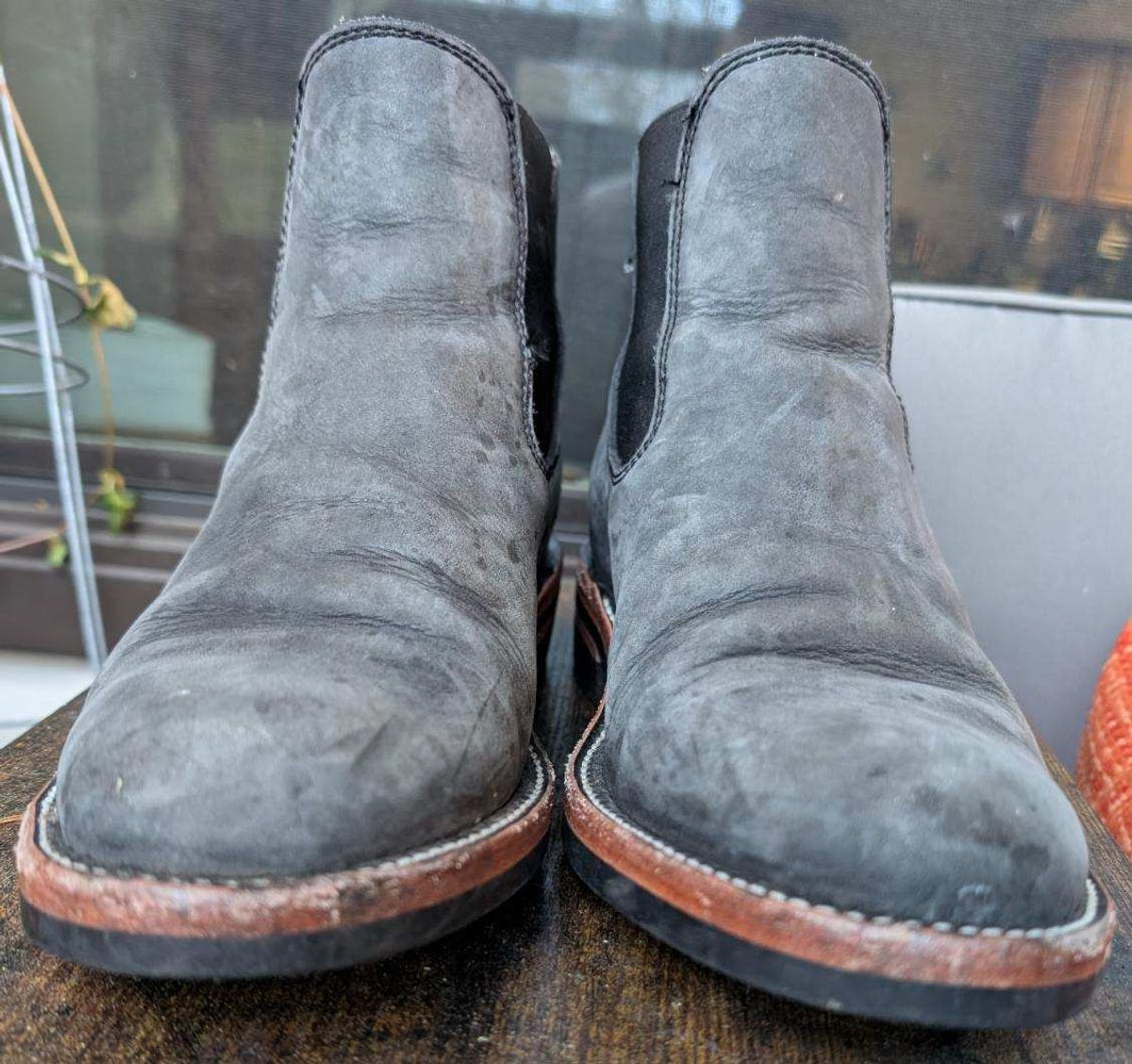 Photo by kylakristine4 on December 5, 2024 of the Dayton Boots Wholecut Chelsea in Charcoal Nubuck.