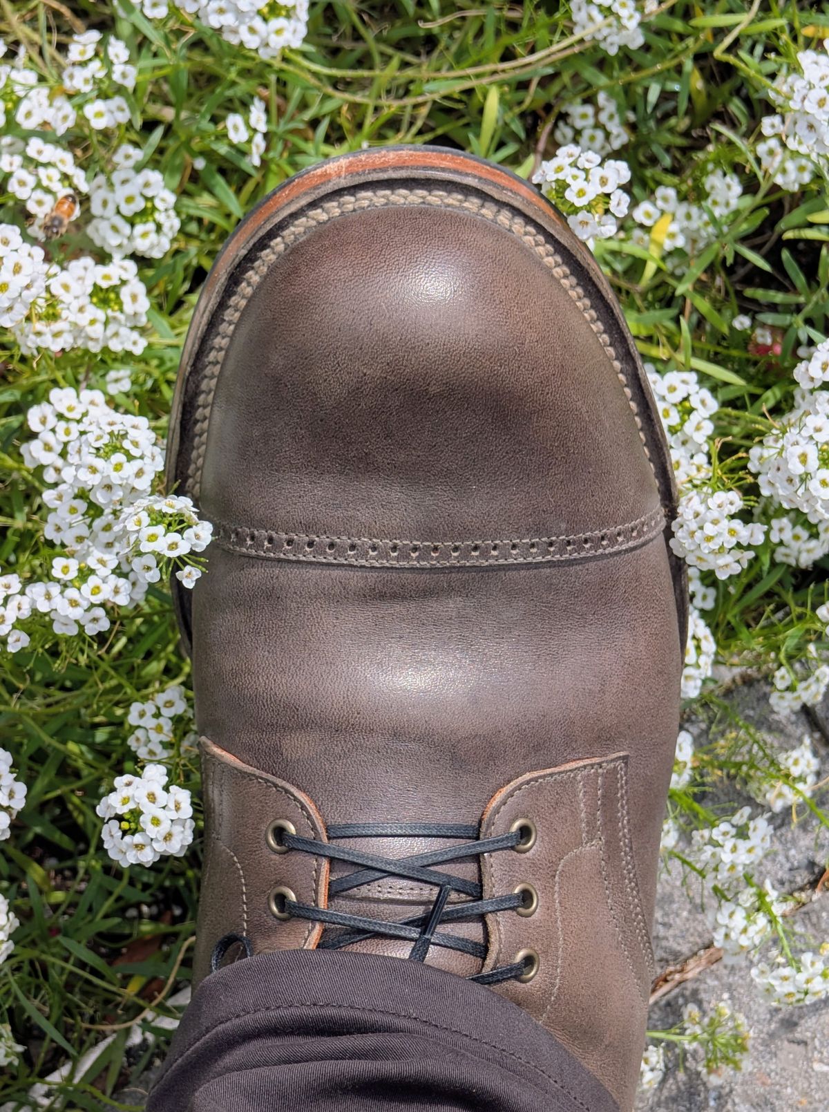 Photo by patina_colada on September 16, 2025 of the Viberg Service Boot BCT in Viberg / Maryam Asfalto Horsebutt.