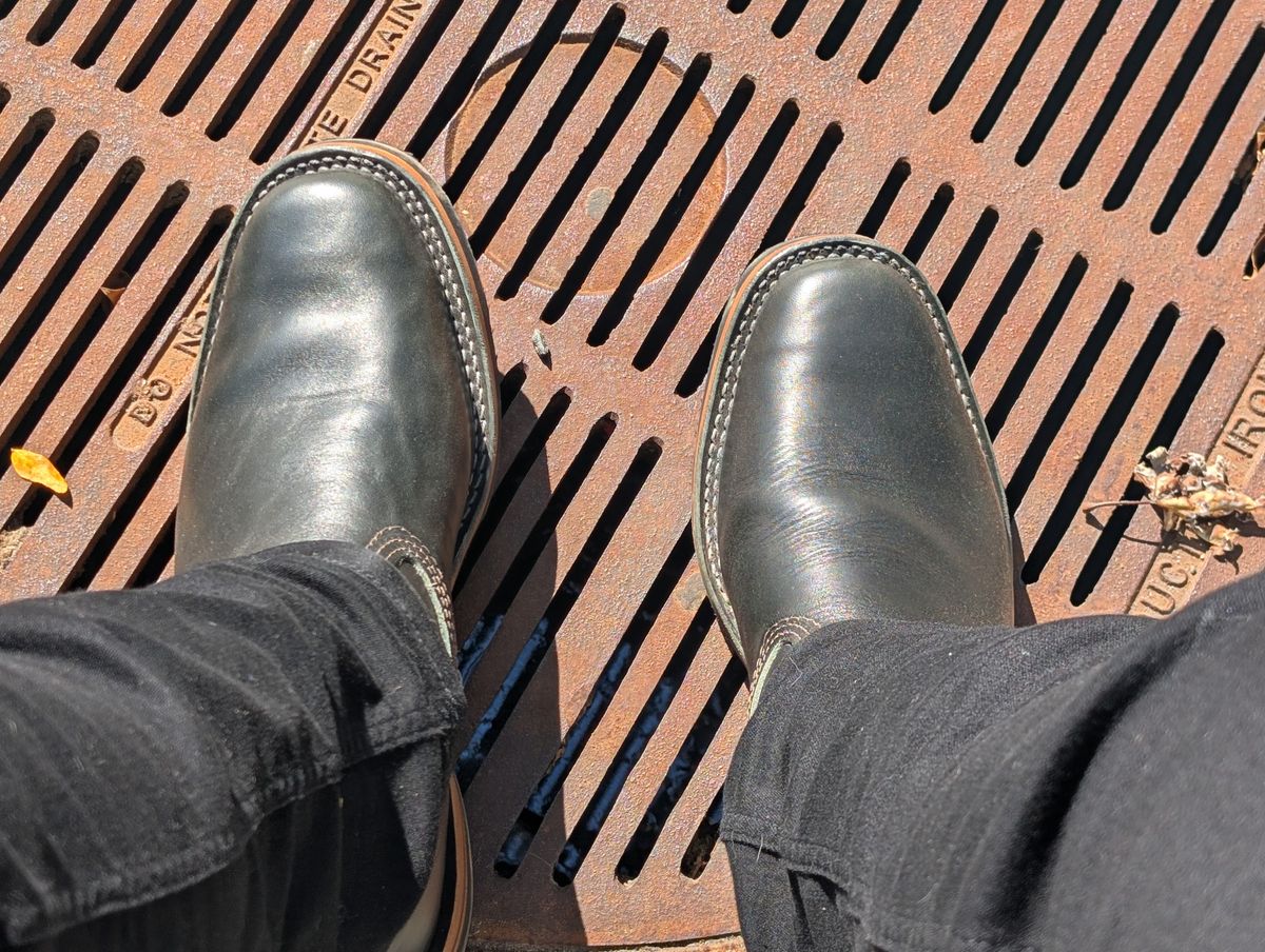 Photo by patina_colada on October 4, 2025 of the Wesco Mister Lou in Maryam Petrolio Waxed Black Horsehide.