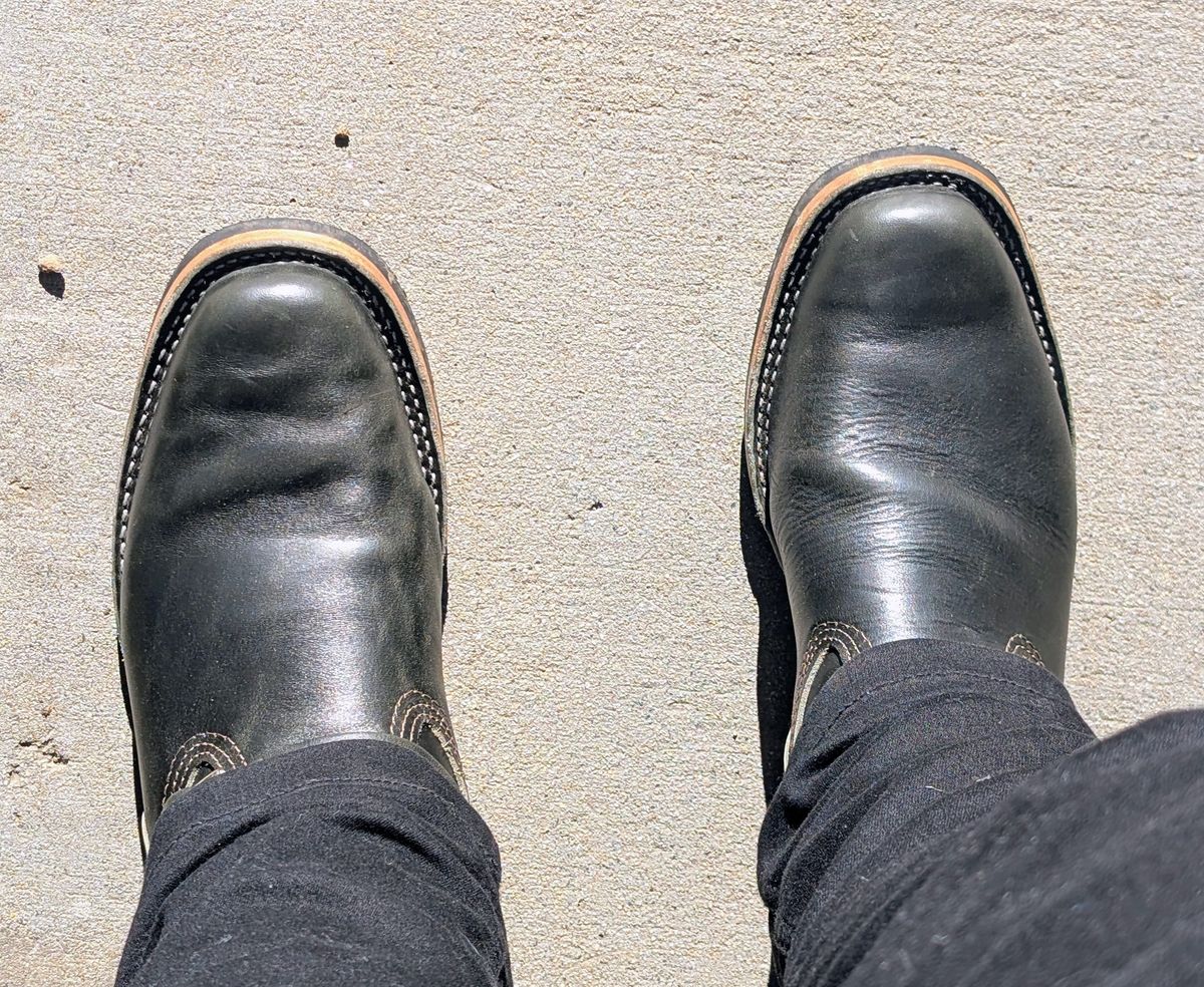 Photo by patina_colada on November 1, 2025 of the Wesco Mister Lou in Maryam Petrolio Waxed Black Horsehide.