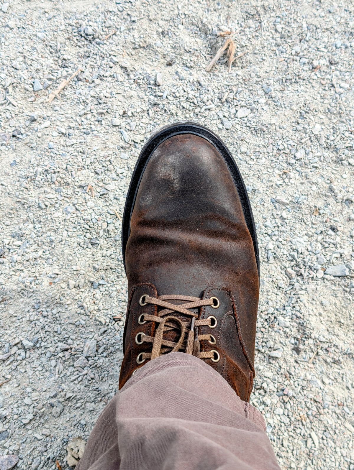 Photo by patina_colada on April 19, 2025 of the Viberg Scout Boot in C.F. Stead Snuff Waxy Commander Suede.