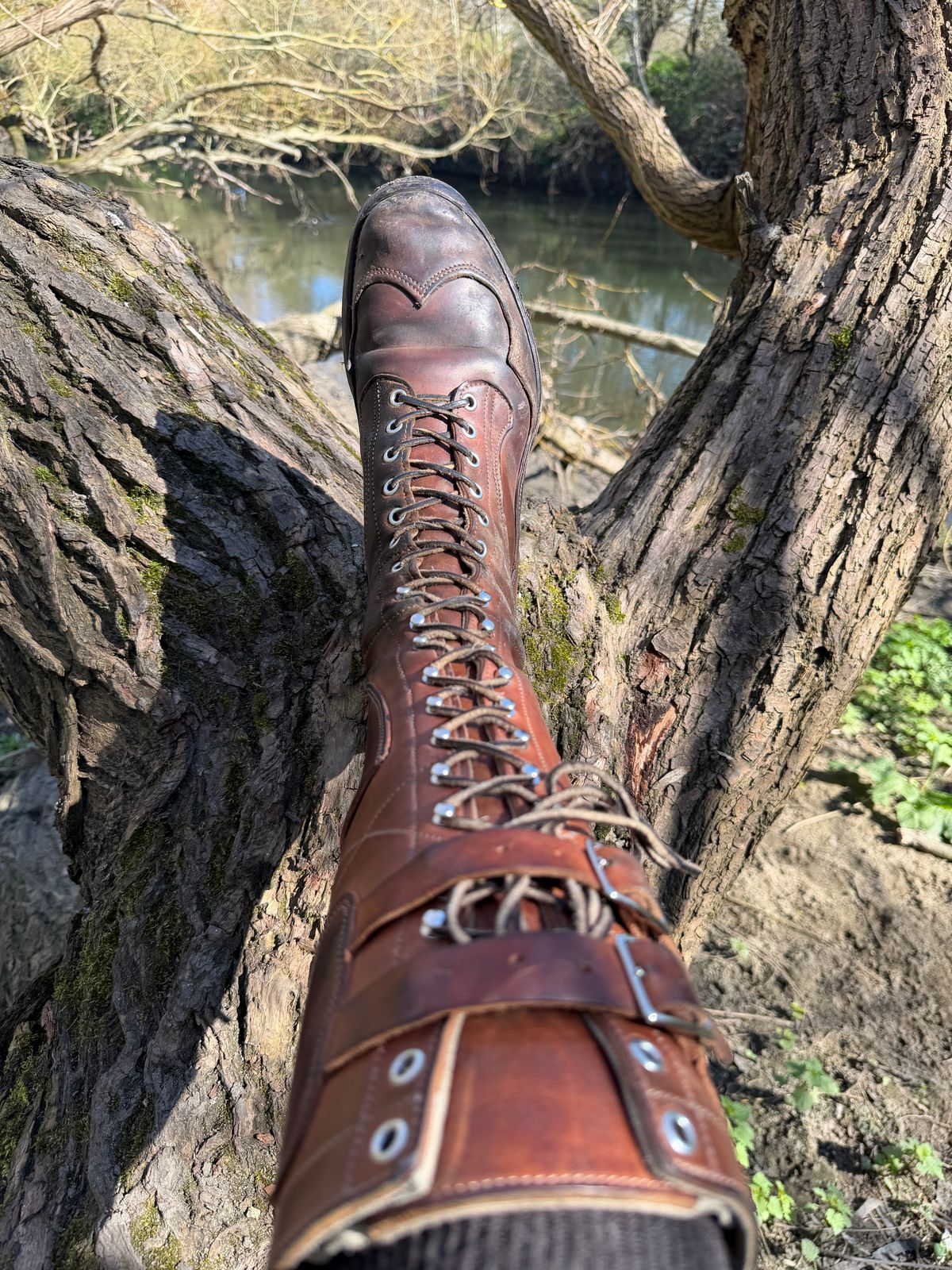 Photo by milokolb on March 18, 2026 of the Milo Kolb Tall Derby Boots in Guidi Flower Culatta Whiskey.