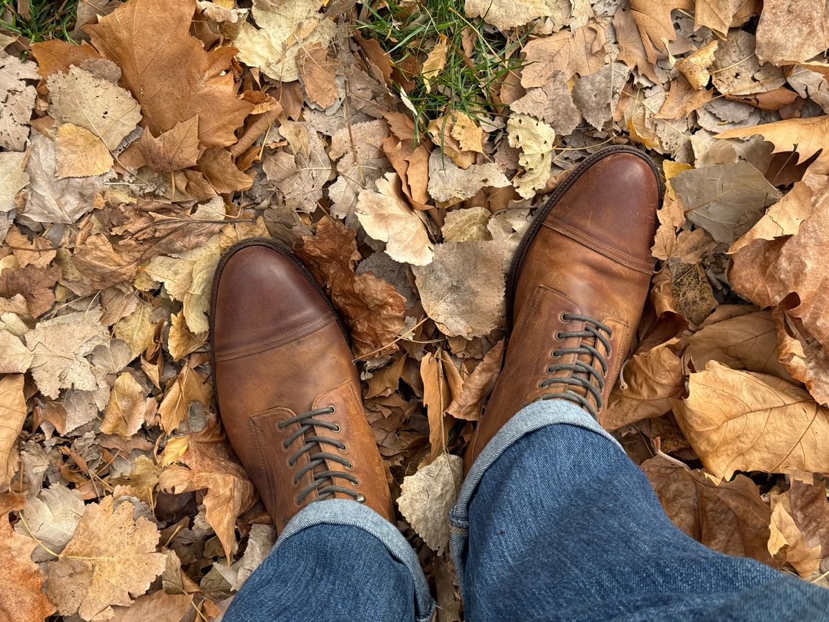 Photo by switchtrue on November 2, 2025 of the Meermin Jumper Boot in Tobacco Waxy Shell Cordovan.