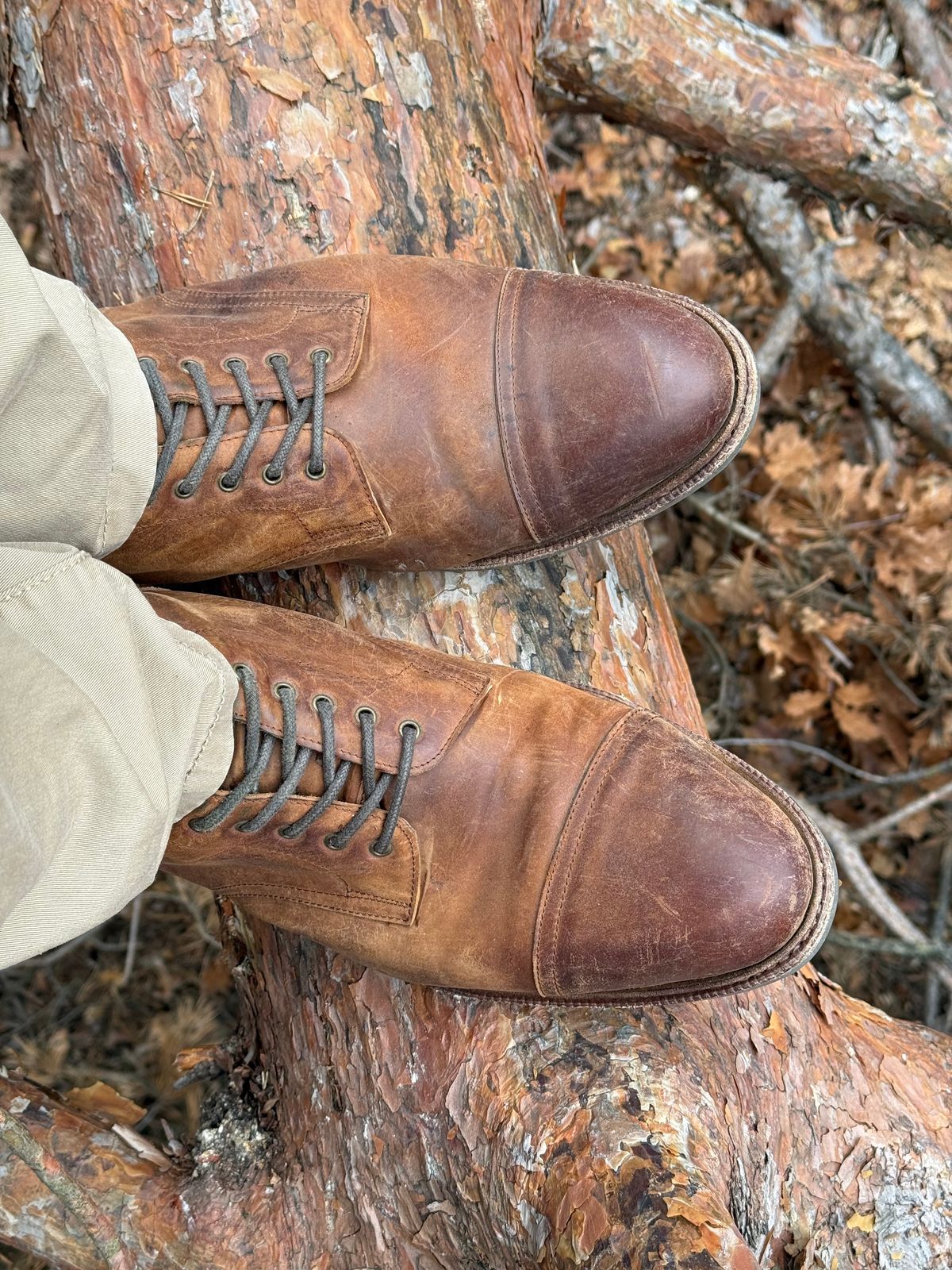 Photo by switchtrue on December 31, 2025 of the Meermin Jumper Boot in Tobacco Waxy Shell Cordovan.