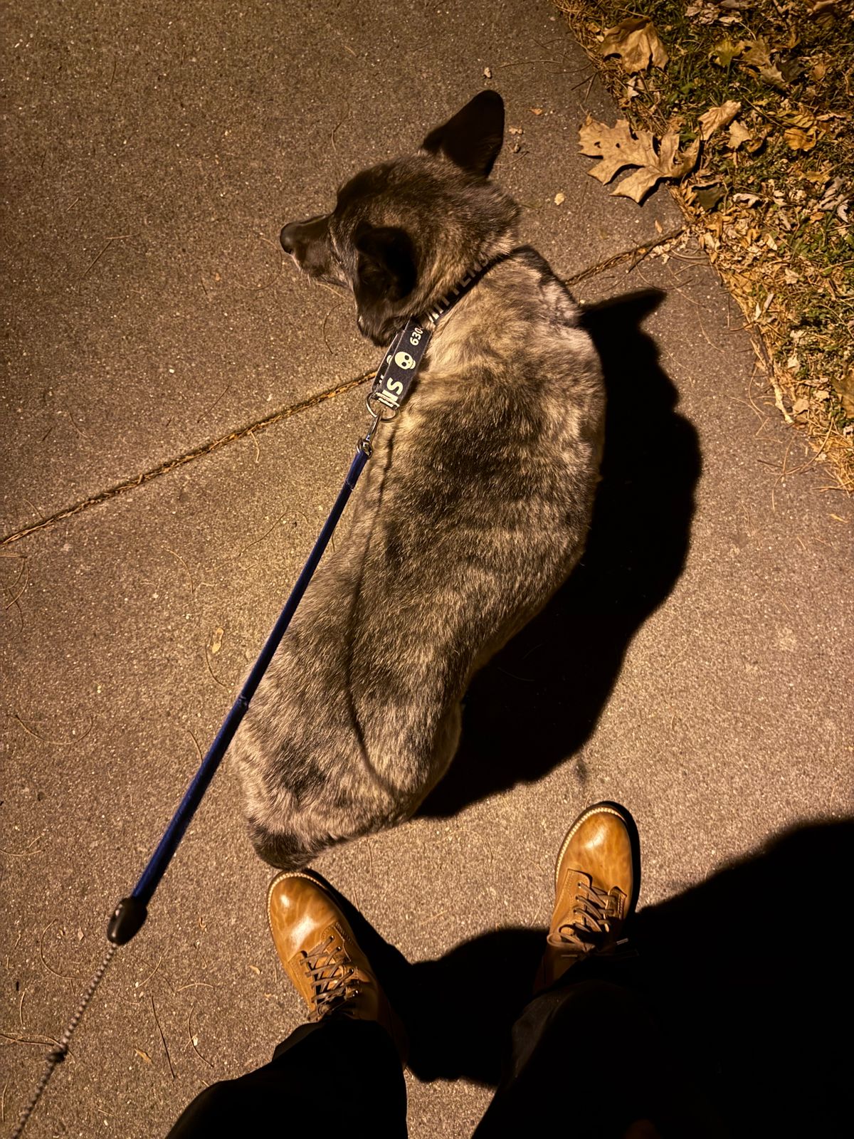 Photo by chris.8888 on November 22, 2025 of the Oldspeed MFG Service Boot 6” in Horween Russet Horsehide Strips.