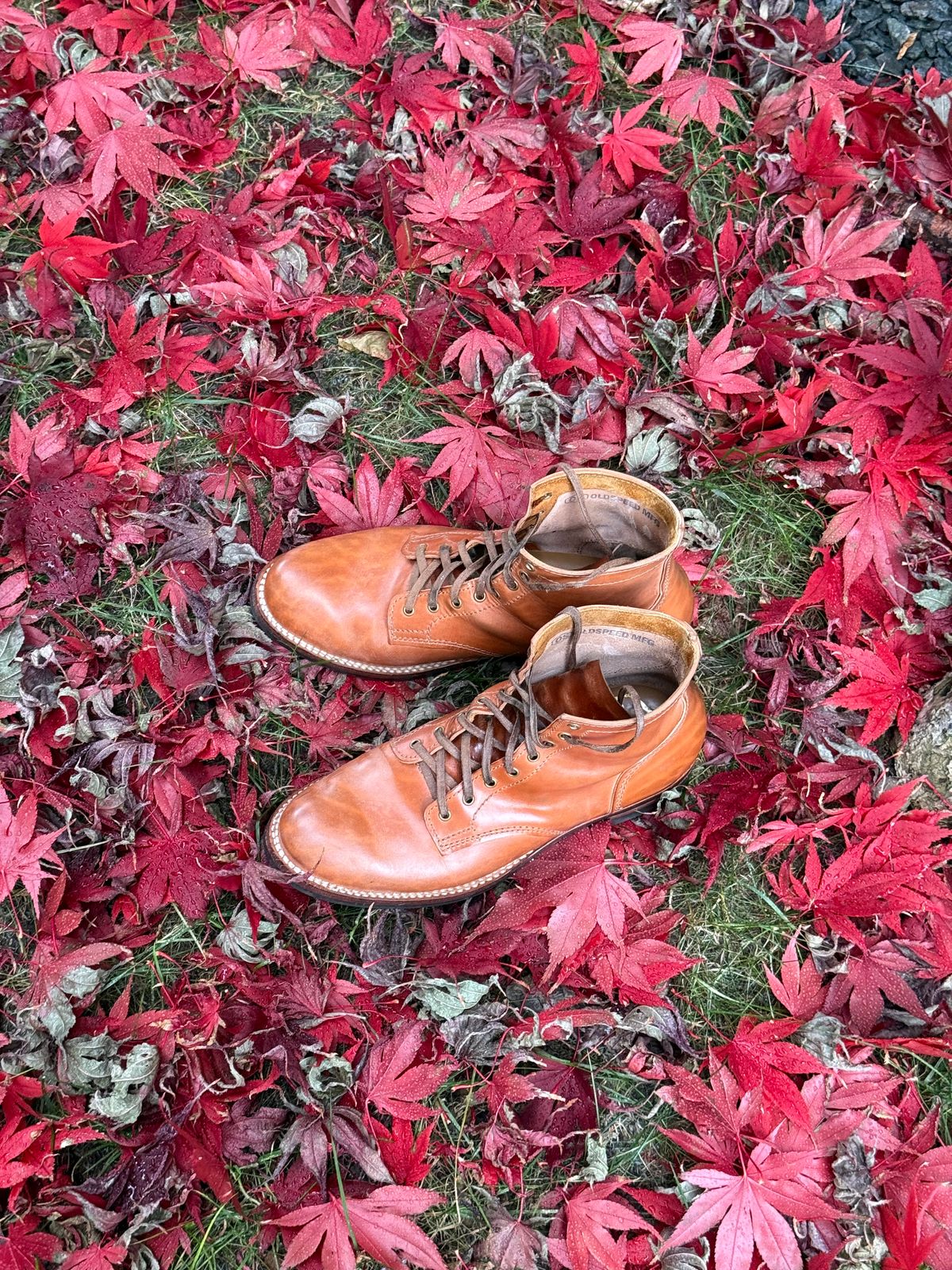 Photo by chris.8888 on November 26, 2025 of the Oldspeed MFG Service Boot 6” in Horween Russet Horsehide Strips.