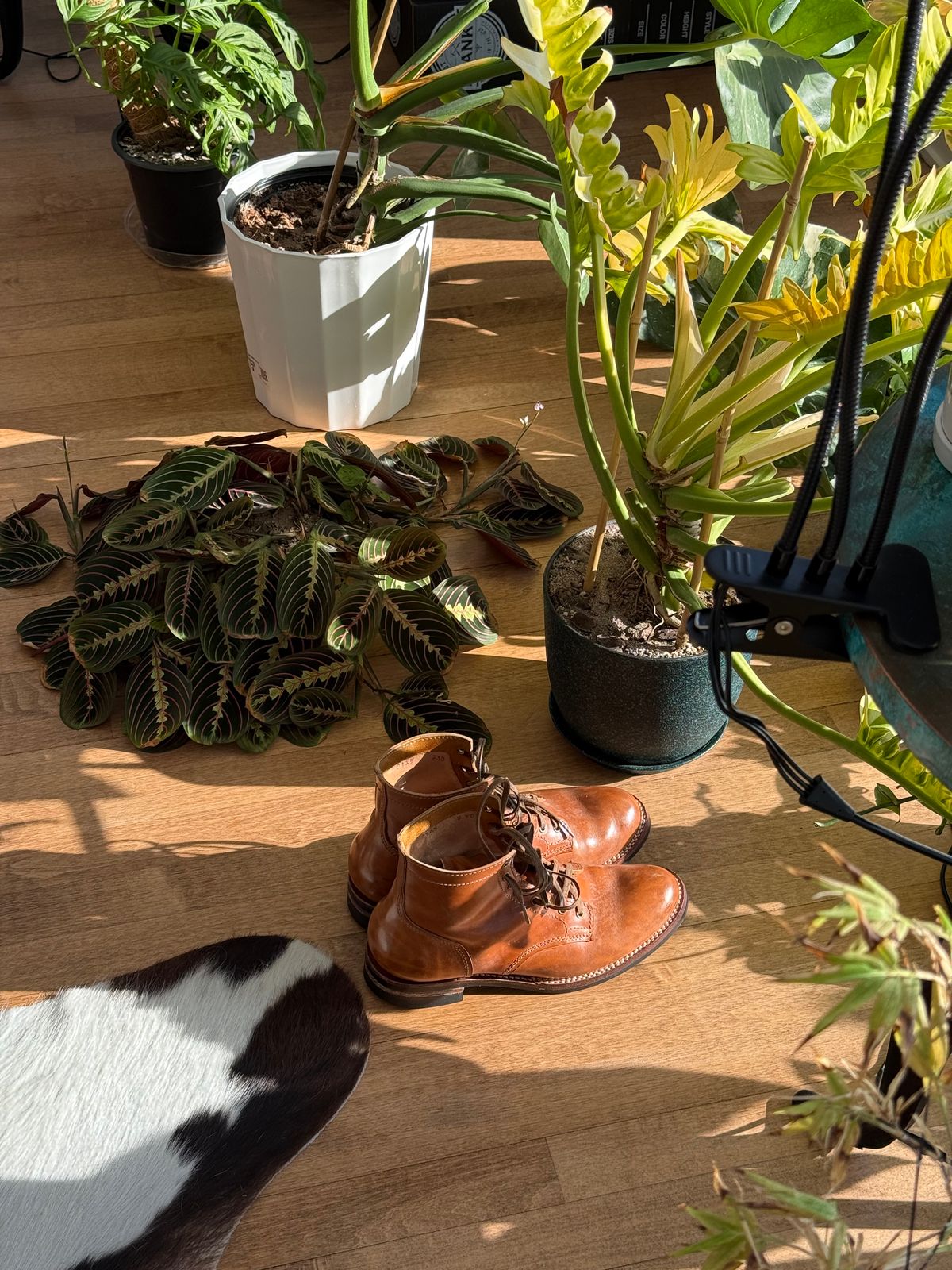Photo by chris.8888 on December 6, 2025 of the Oldspeed MFG Service Boot 6” in Horween Russet Horsehide Strips.