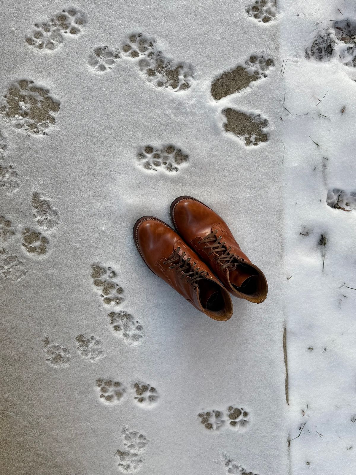 Photo by chris.8888 on January 2, 2026 of the Oldspeed MFG Service Boot 6” in Horween Russet Horsehide Strips.
