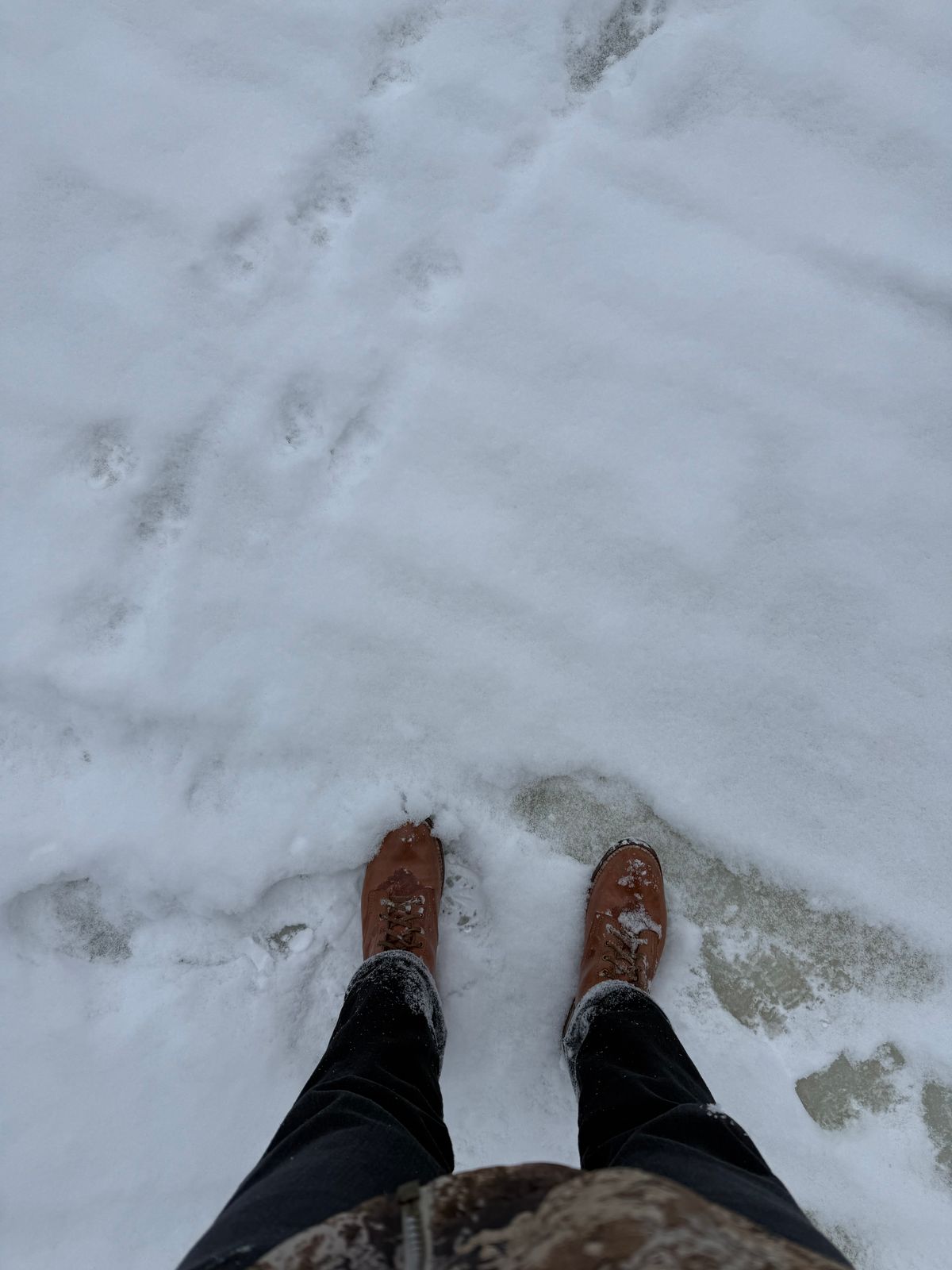 Photo by chris.8888 on January 25, 2026 of the Oldspeed MFG Service Boot 6” in Horween Russet Horsehide Strips.