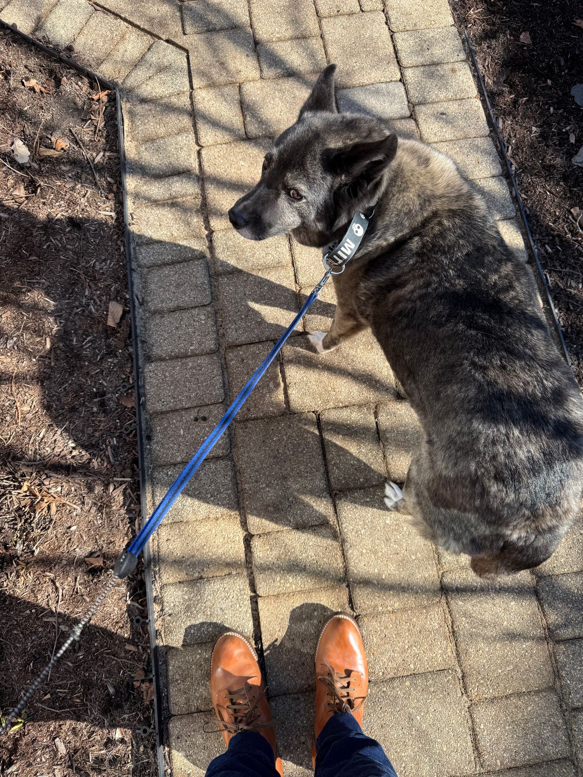 Photo by chris.8888 on February 15, 2026 of the Oldspeed MFG Service Boot 6” in Horween Russet Horsehide Strips.