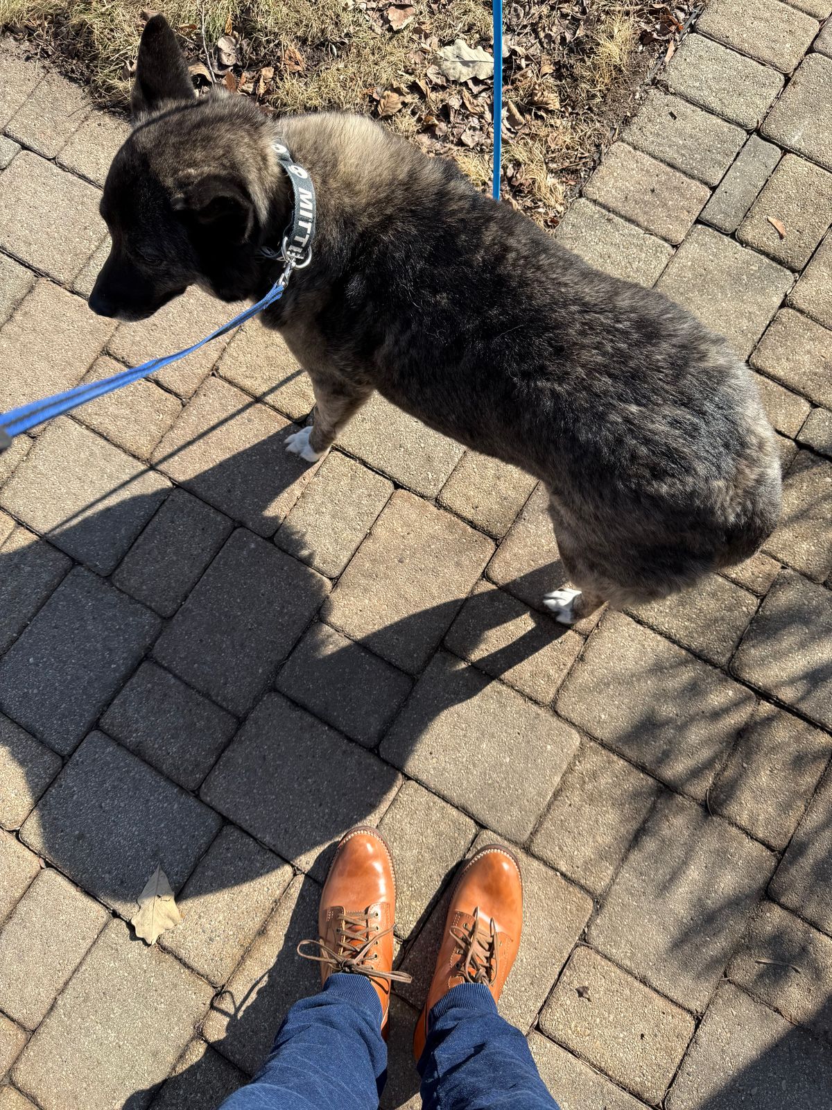 Photo by chris.8888 on February 15, 2026 of the Oldspeed MFG Service Boot 6” in Horween Russet Horsehide Strips.
