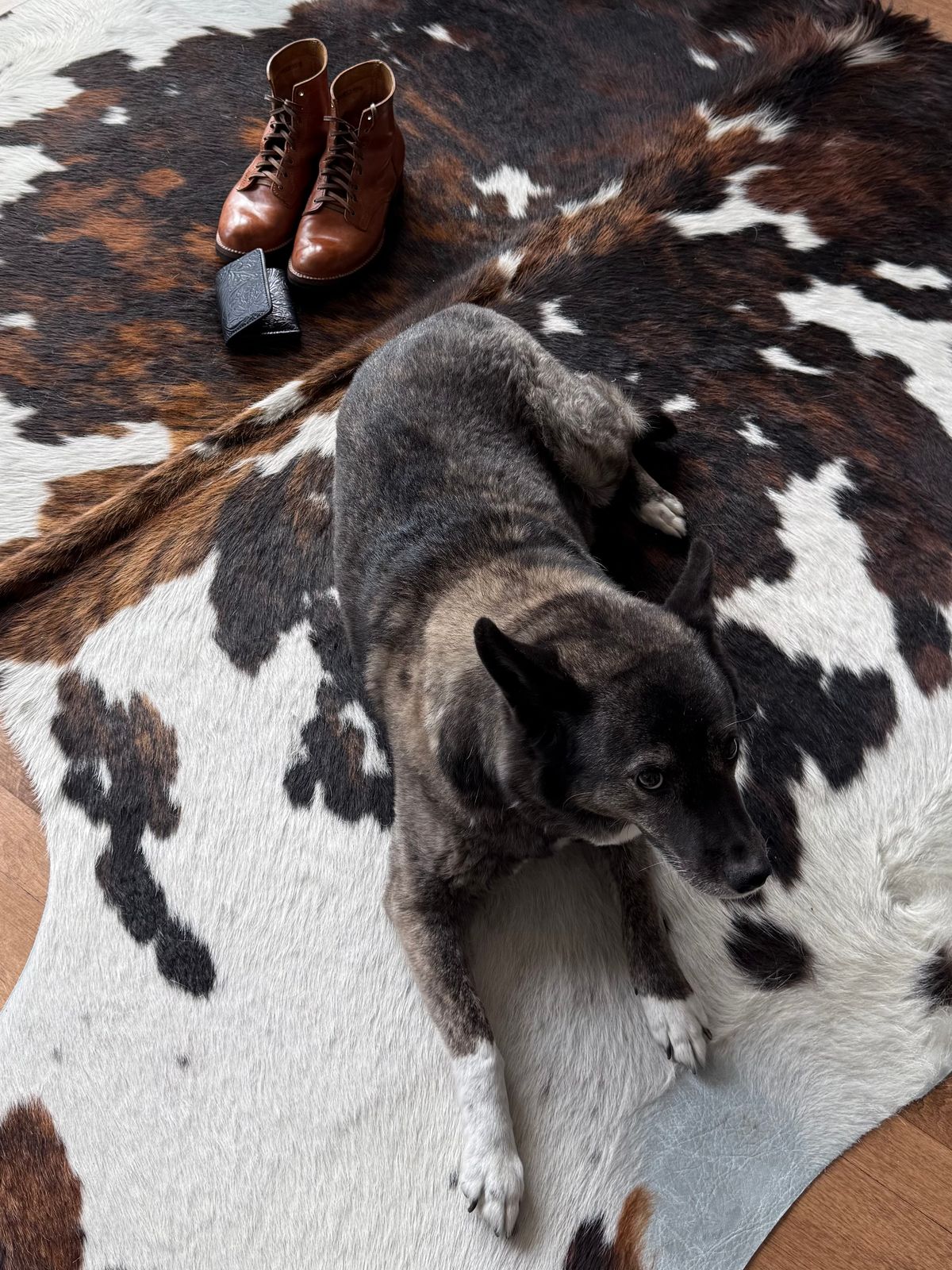 Photo by chris.8888 on February 22, 2026 of the Oldspeed MFG Service Boot 6” in Horween Russet Horsehide Strips.